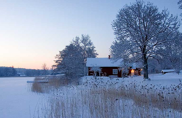 Swedish flag with the sea in the background
